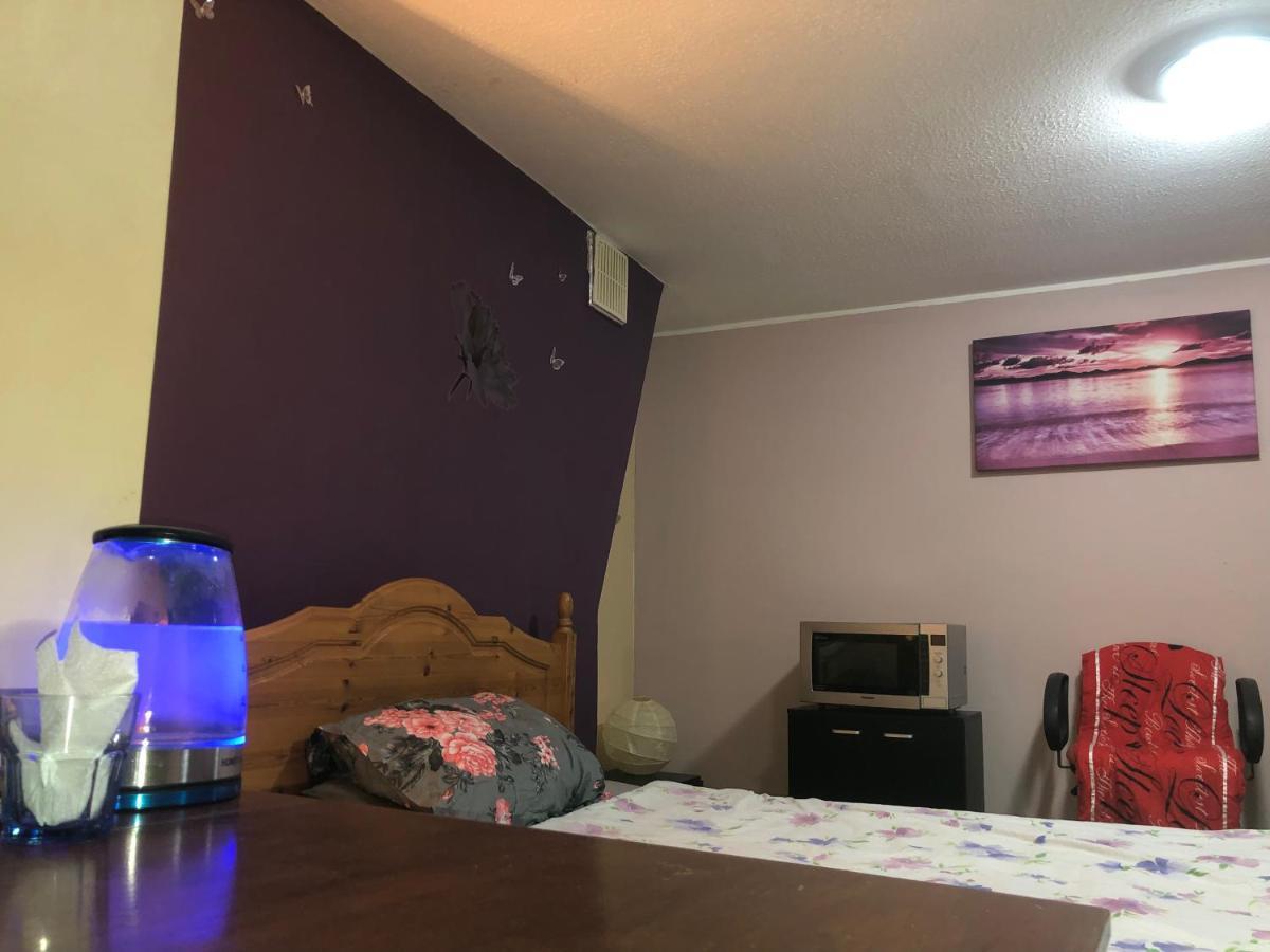 הייסטינגס Apartamento Single Large Room מראה חיצוני תמונה